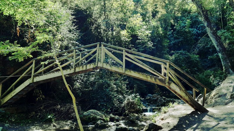 Lee más sobre el artículo Ruta del río Cerezuelo (Cazorla)