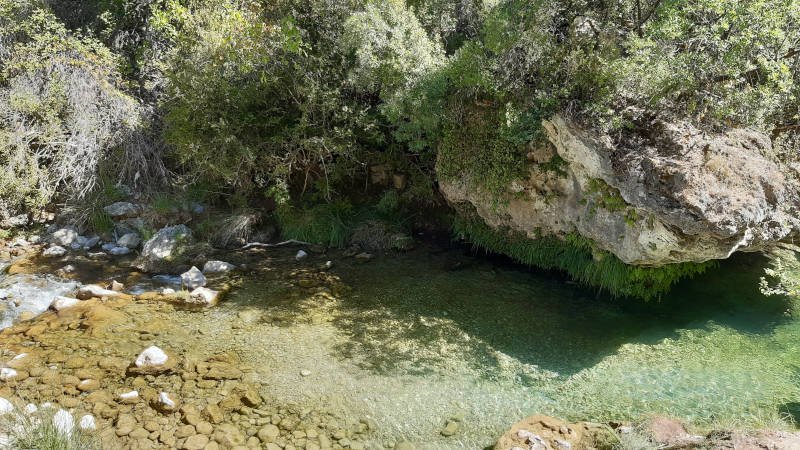 excursiones por Cazorla, Jaén, rio borosa jaen