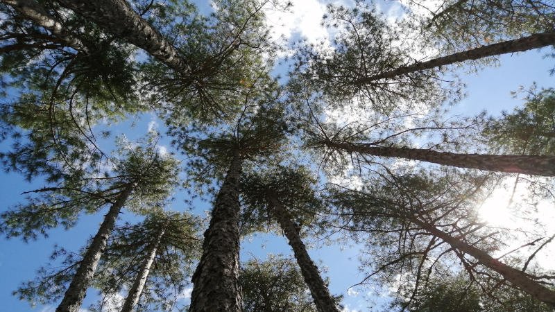 viajar en autocaravana por España, viajaer en camper por España, viajar por España en época de covid, viajar por España