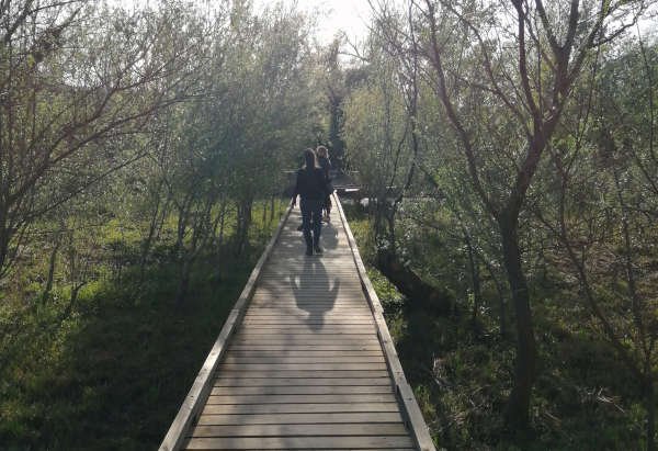 excursión con niños por Cataluña, Excursión en Ribera de Ebro, excursión en Flix, Excursiones por Tarragona