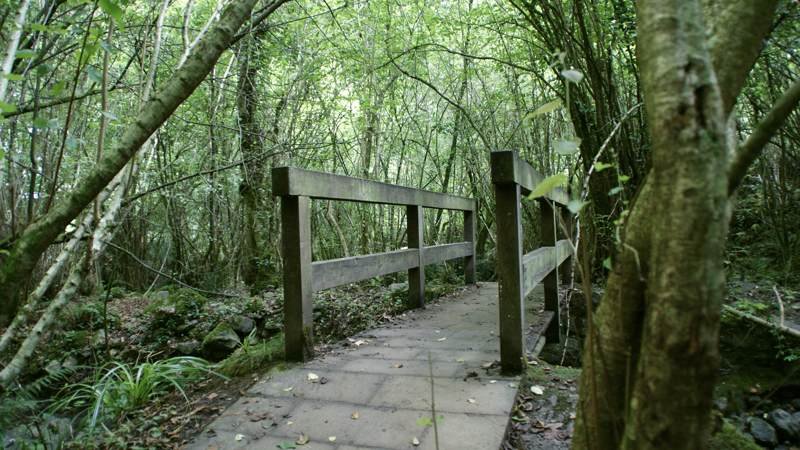 churron de borleña, el churron de borleña, ruta churron de borleña, el churrón de borleña, rutas cantabria, rutas senderismo cantabria, senderismo cantabria, rutas por cantabria fáciles, rutas senderismo cantabria fáciles, rutas fáciles cantabria, rutas de senderismo en cantabria, rutas cerca de santander, la ruta de senderismo más bonita de cantabria, rutas faciles por cantabria, rutas santander