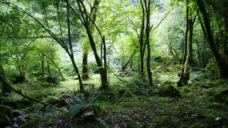 churron de borleña, el churron de borleña, ruta churron de borleña, el churrón de borleña, rutas cantabria, rutas senderismo cantabria, senderismo cantabria, rutas por cantabria fáciles, rutas senderismo cantabria fáciles, rutas fáciles cantabria, rutas de senderismo en cantabria, rutas cerca de santander, la ruta de senderismo más bonita de cantabria, rutas faciles por cantabria, rutas santander