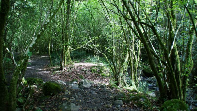 churron de borleña, el churron de borleña, ruta churron de borleña, el churrón de borleña, rutas cantabria, rutas senderismo cantabria, senderismo cantabria, rutas por cantabria fáciles, rutas senderismo cantabria fáciles, rutas fáciles cantabria, rutas de senderismo en cantabria, rutas cerca de santander, la ruta de senderismo más bonita de cantabria, rutas faciles por cantabria, rutas santander